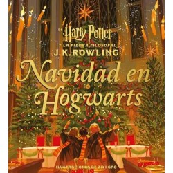 Navidad en Hogwarts, De Harry Potter y la piedra filosofal