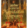 Navidad en Hogwarts, De Harry Potter y la piedra filosofal